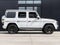 2025 Mercedes-Benz G-Class G 550