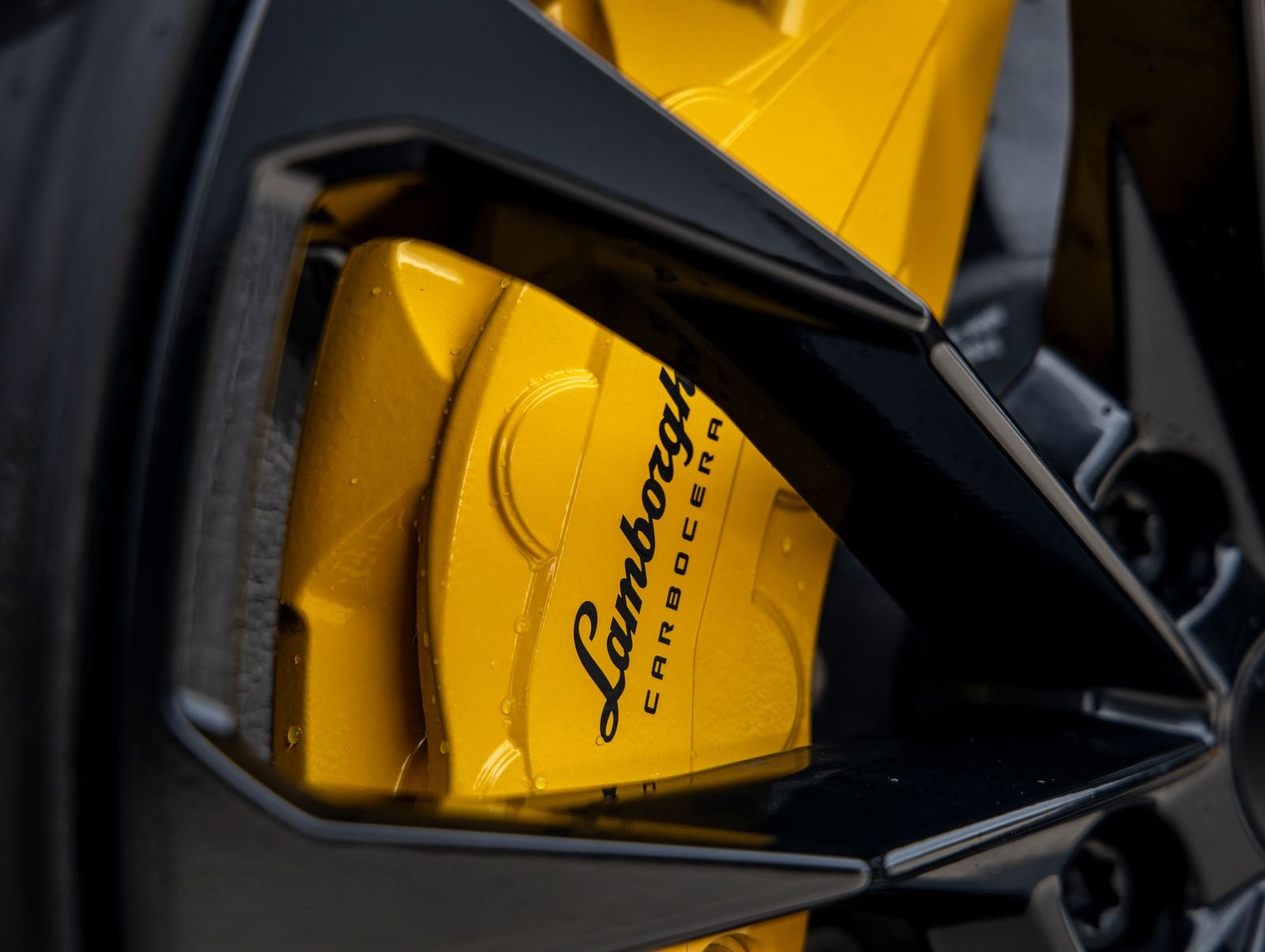 2024 Lamborghini Urus S