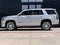 2019 Cadillac Escalade Platinum Edition